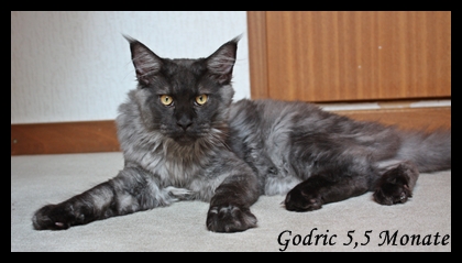 Godric